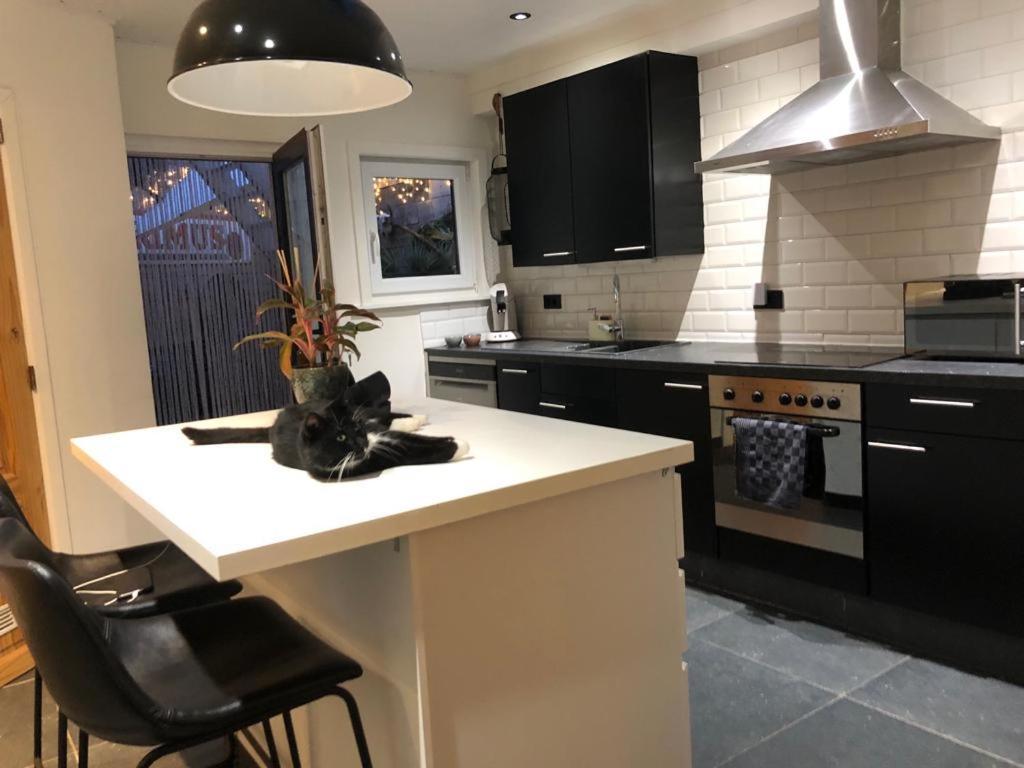 Studio Dream On Met Zonnige Terras Apartment Остенде Екстериор снимка