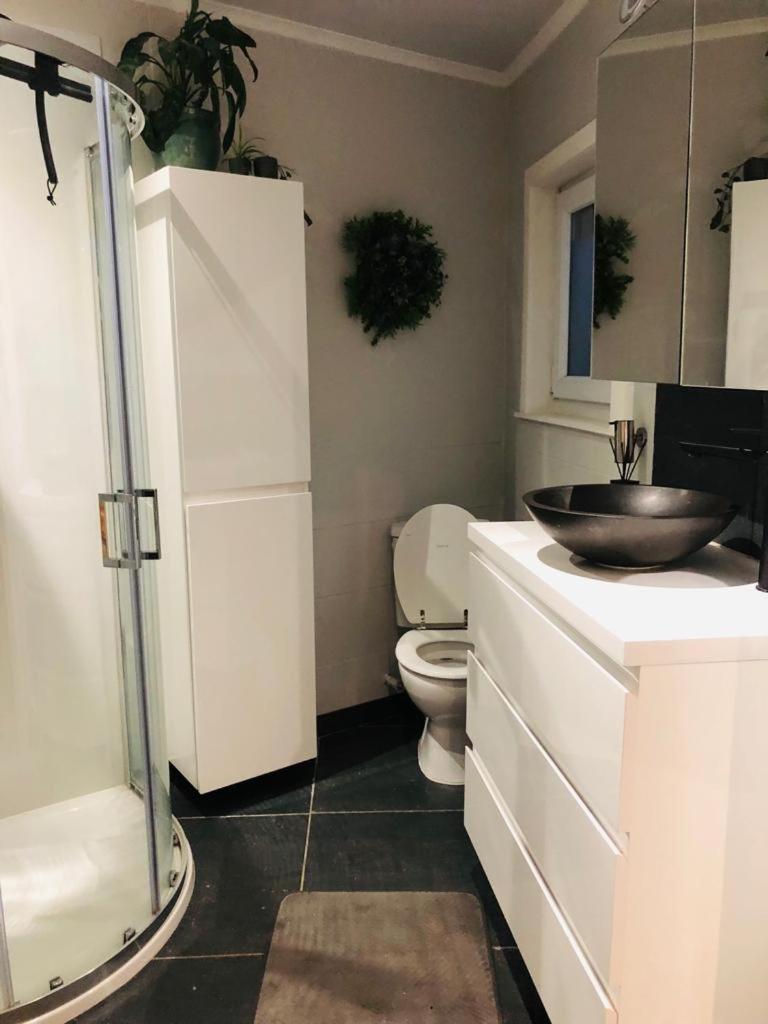 Studio Dream On Met Zonnige Terras Apartment Остенде Екстериор снимка